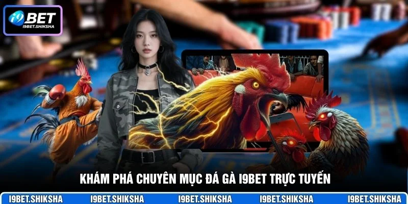 Khám phá chuyên mục đá gà i9bet trực tuyến